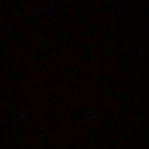 Meet your Posher, Teri